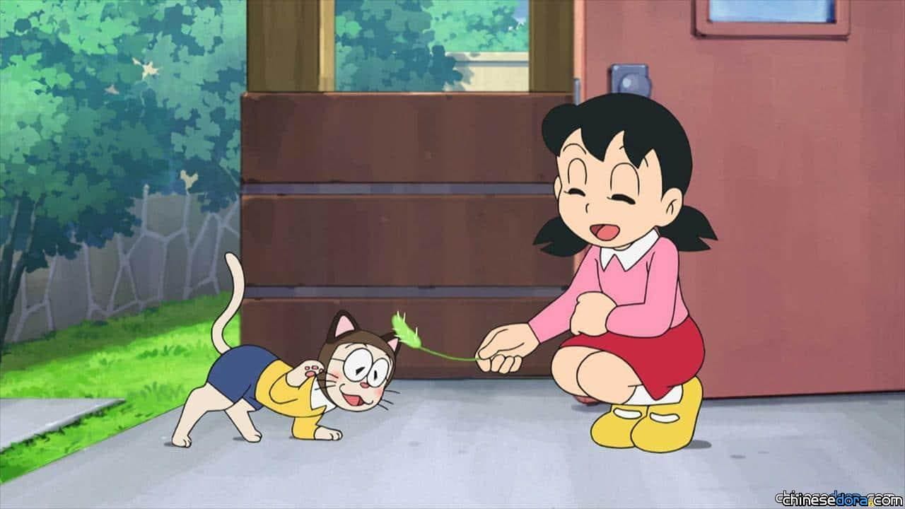[預告] 2019年10月5日：貓咪頭巾、堅強石
