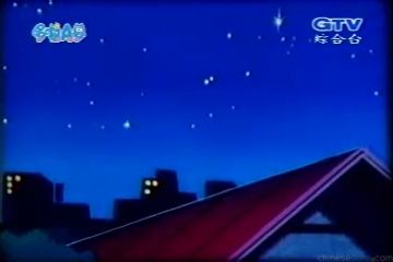 大山版#361 迷你寵物獅子（ミニペットライオン）