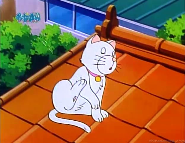 大山版#867 反重力腰帶／反重力腰帶（逆重力ベルト）
