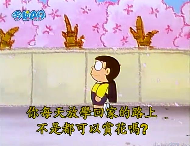 大山版#1176 速成盆栽罐（バイオ植木カン）