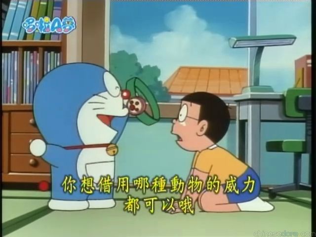 大山版#1590 動物威力腰帶／動物力量腰帶（アニマルパワーベルト）