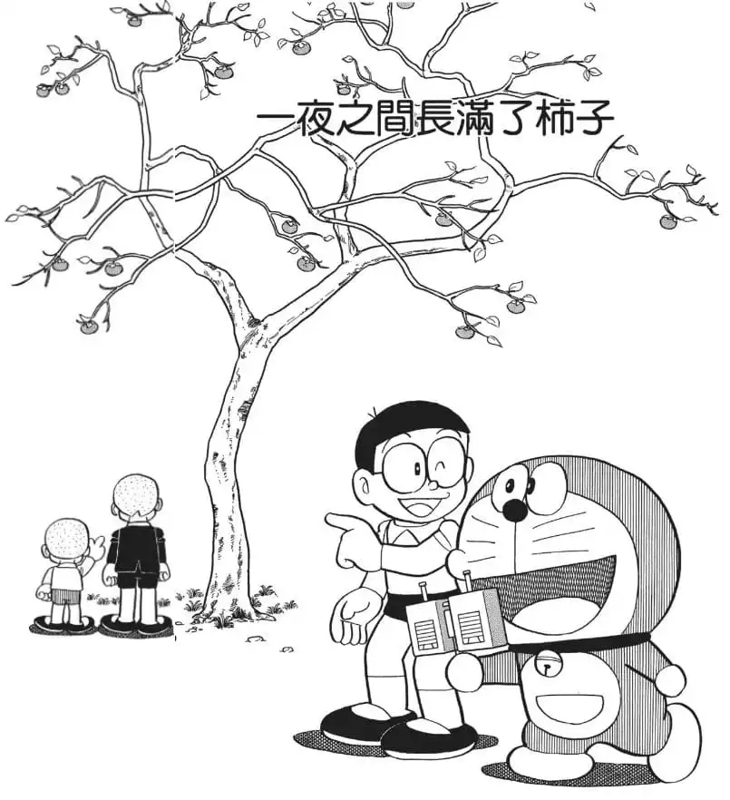 一夜之間長滿了柿子/一夜便能結果實的柿樹（一晩でカキの実がなった）