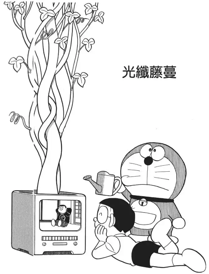光纖藤蔓/光纖長春藤（光ファイバーつた）