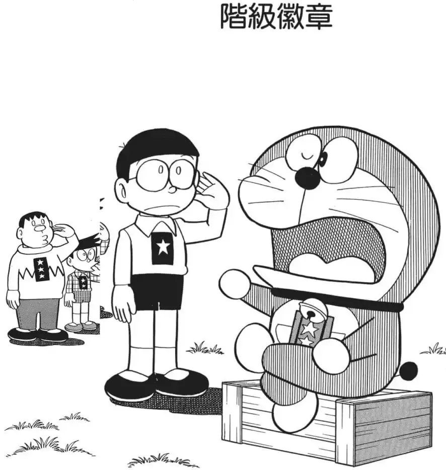 階級徽章/階級勳章（階級ワッペン）