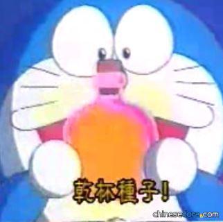 乾杯種子（乾杯の種）