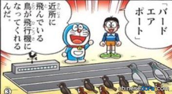 鳥類機場（バードエアポート）