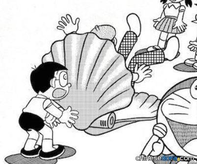 正解貝（セイ貝）