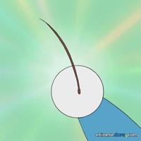 藉口毛/藉口毛髮(いいわ毛) 藉口毛/藉口毛髮(いいわ毛)