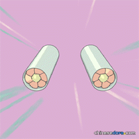 空氣栓／人造腮（エラチューブ）