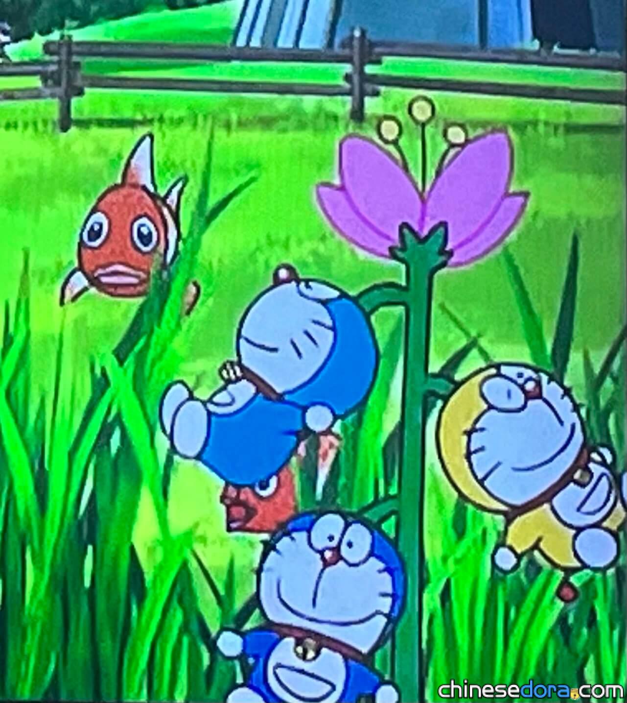 哆啦A夢的種子/多啦A夢的種子(ドラえもんの種) 哆啦A夢的種子/多啦A夢的種子(ドラえもんの種)