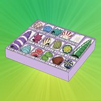 顧名思義貝類組合／顧名思義貝殼（そうなる貝セット）